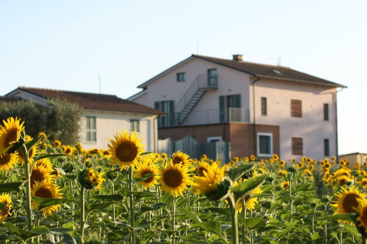 הוילה Montecastrilli La Collina Del Girasole מראה חיצוני תמונה
