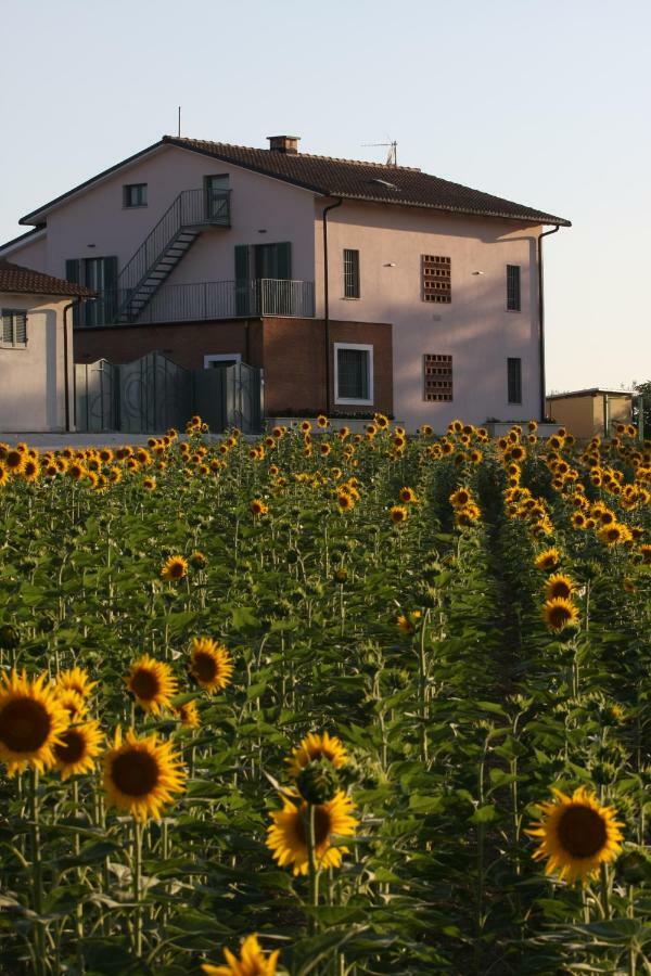 הוילה Montecastrilli La Collina Del Girasole מראה חיצוני תמונה